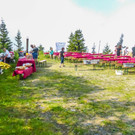 20170624_Lionswald_003.jpg