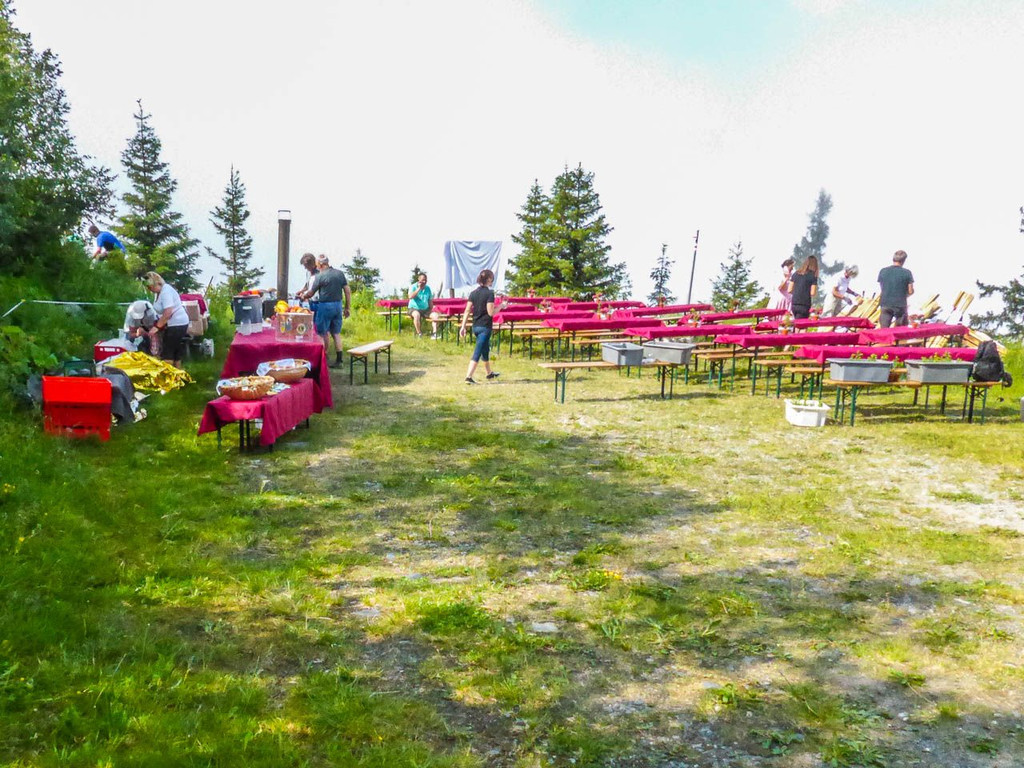 20170624_Lionswald_003.jpg