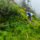 20170624_Lionswald_004.jpg