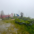 20170624_Lionswald_008.jpg