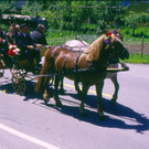 M__nnerchor_1987_36.jpg