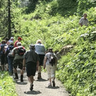 IMG_7563.jpg