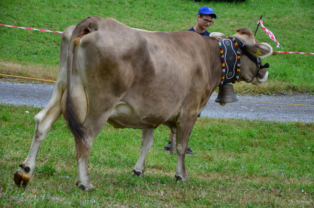 FT Sonntag 1 250617_85.JPG