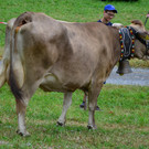 FT Sonntag 1 250617_85.JPG