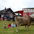 FT Sonntag 1 250617_89.JPG