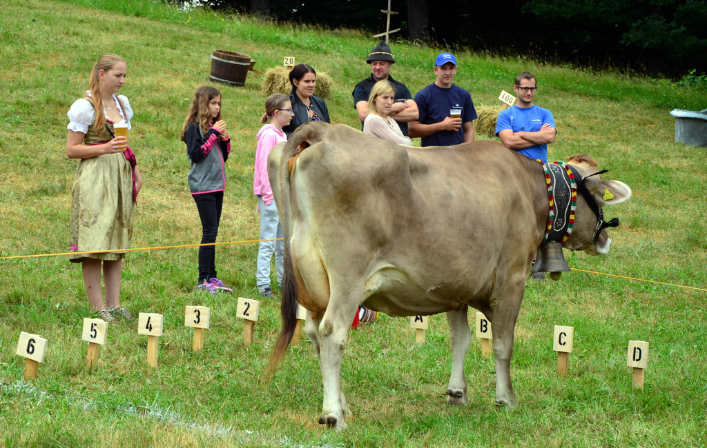 FT Sonntag 1 250617_91.JPG