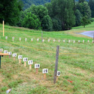 FT Sonntag 1 250617_62.JPG