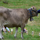 FT Sonntag 1 250617_107.JPG