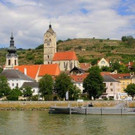 IMG_7341.jpg