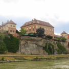 IMG_7362.jpg