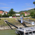 IMG_7373.jpg