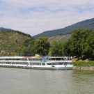 IMG_7385.jpg