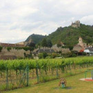 IMG_7463.jpg
