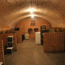 IMG_7549.jpg