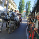 IMG_7642.jpg