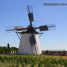 IMG_7754.jpg