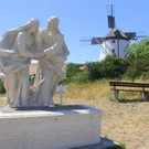 IMG_7810.jpg