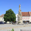 IMG_7825.jpg