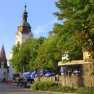 IMG_7842.jpg