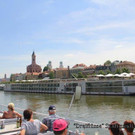 IMG_7903.jpg