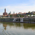 IMG_7900.jpg