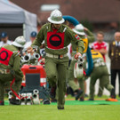 Bilder vom Landesfeuerwehrfest III