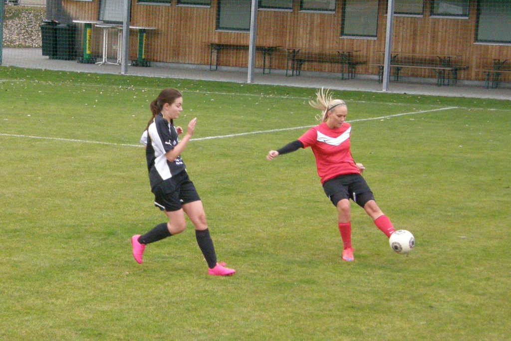PB140076.JPG