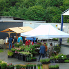 DSC04366.JPG