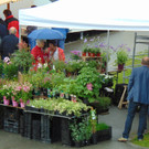 DSC04367.JPG