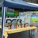 DSC04373.JPG