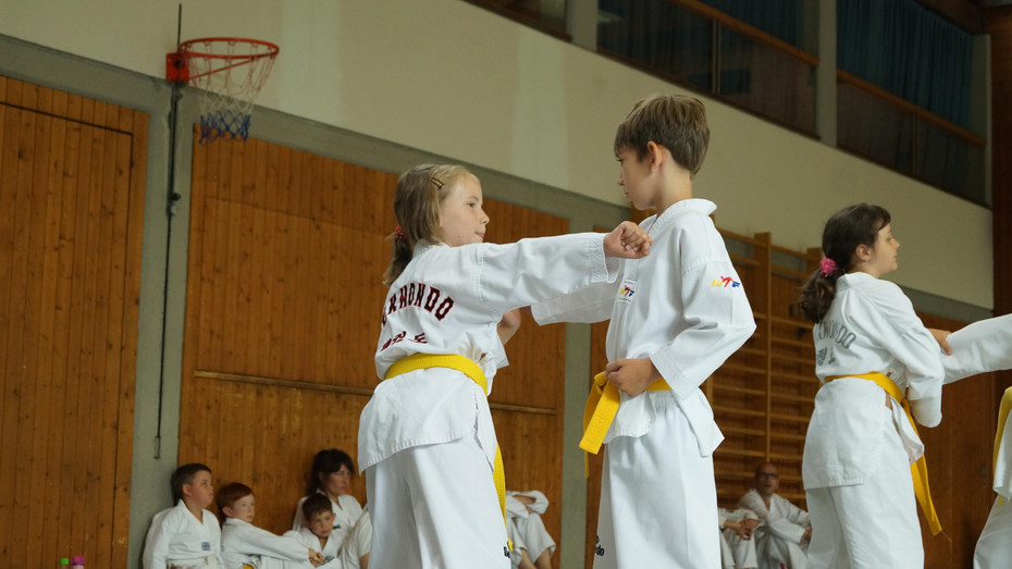 G__rtelpr__fung TKD Montafon_2017_Juli _3_.JPG