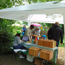 DSC04390.JPG