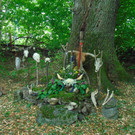 DSC04411.JPG