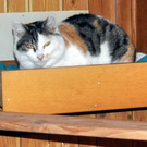 Fiona _2_.jpg