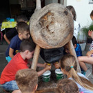 Besuch auf dem Bauernhof