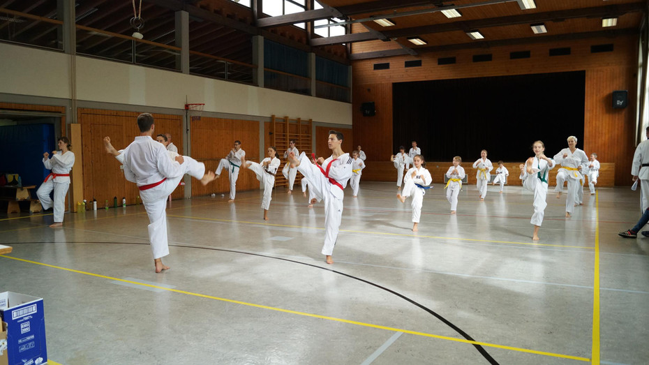 DSC08154 _Copy_.JPG