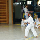 DSC08184 _Copy_.JPG