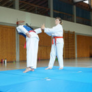 DSC08221 _Copy_.JPG