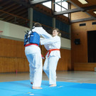 DSC08222 _Copy_.JPG