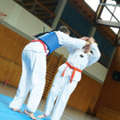 DSC08228 _Copy_.JPG