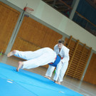 DSC08229 _Copy_.JPG