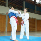 DSC08234 _Copy_.JPG
