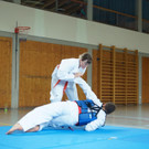 DSC08238 _Copy_.JPG