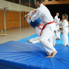 DSC08254 _Copy_.JPG