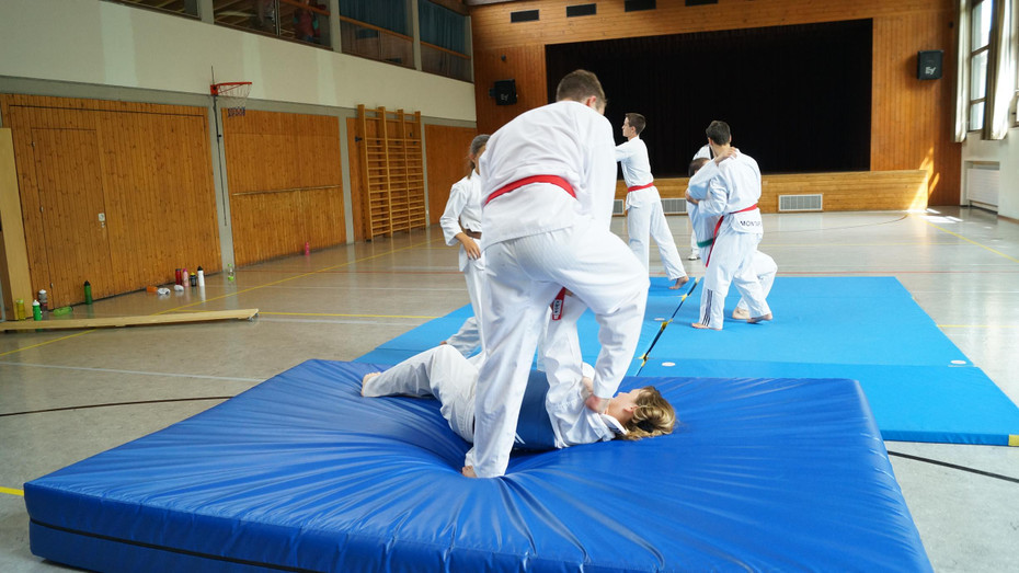 DSC08266 _Copy_.JPG