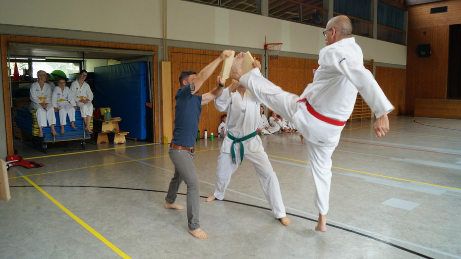 DSC08293 _Copy_.JPG