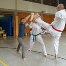 DSC08293 _Copy_.JPG