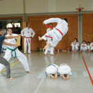 DSC08307 _Copy_.JPG