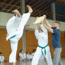 DSC08320 _Copy_.JPG