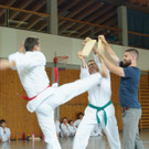 DSC08321 _Copy_.JPG